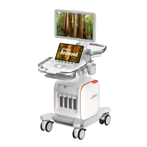 Siemens ACUSON Redwood