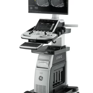 GE LOGIQ P10