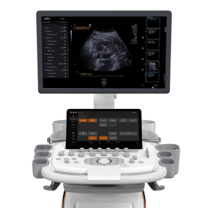Ultrassom ACUSON Sequoia